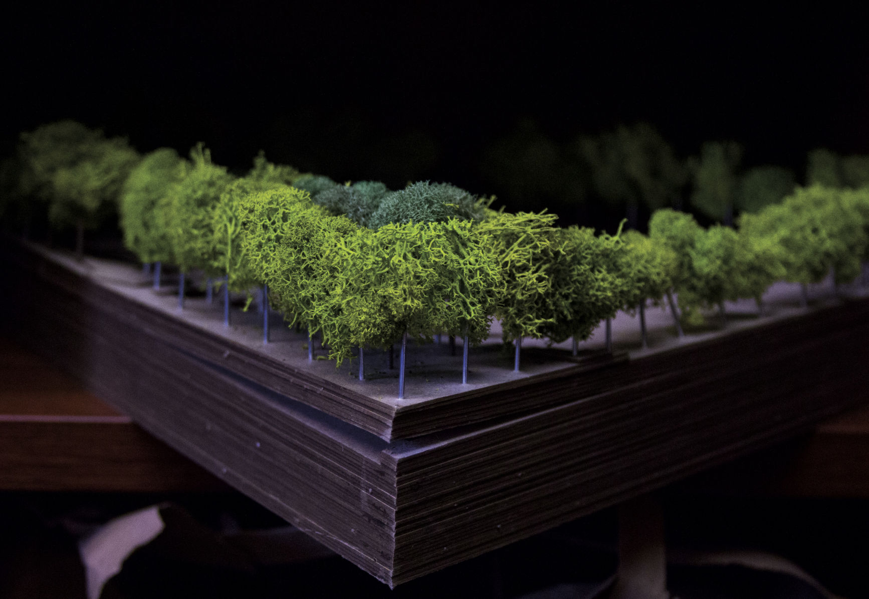 m-landscapearchitecture_Sommer-2.jpg